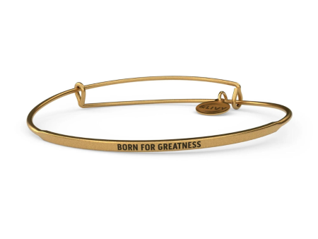 &Livy  Born For Greatness  Posy Bracelet Online Hot Sale