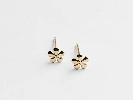 Willow Studs, 14K Gold Online